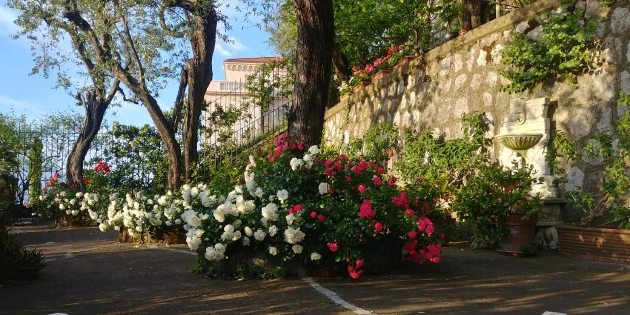 Villa L'Ulivina Соренто Екстериор снимка