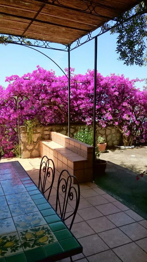 Villa L'Ulivina Соренто Екстериор снимка